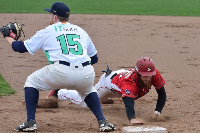 Ulm Falcons vs Stuttgart Reds