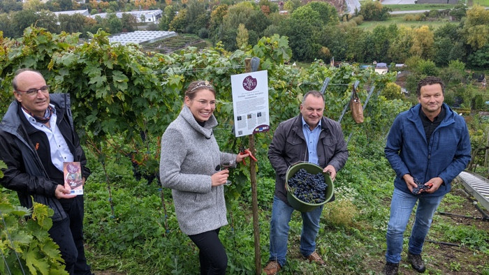 Steile Weine als Zukunftsmodell