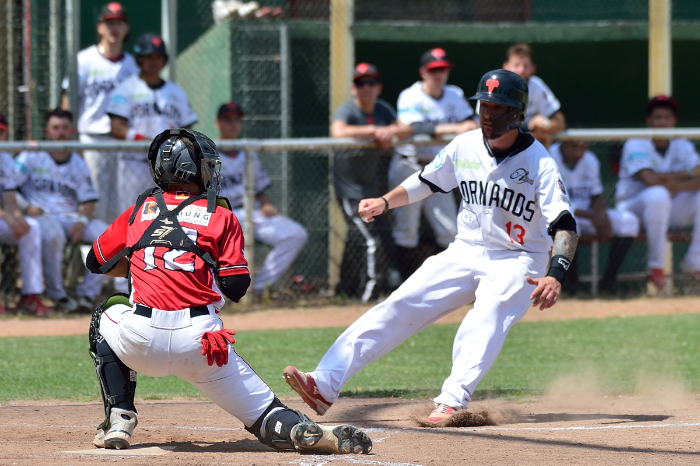 Stuttgart Reds sichern sich Platz 3 und sind in den Playoffs