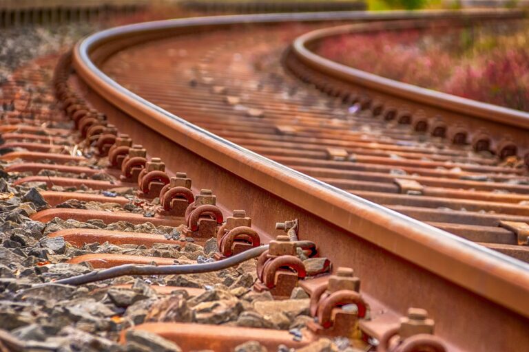 Kostenlos mit Bus und Tälesbahn zum Maientag in Nürtingen