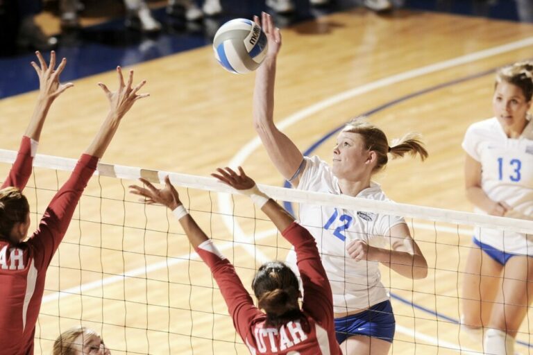 Die Volleyball-Elite kommt nach Ludwigsburg