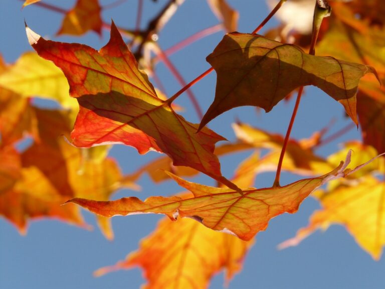 September ist hier: Die Morgenroutine Tipps für diesen Herbst