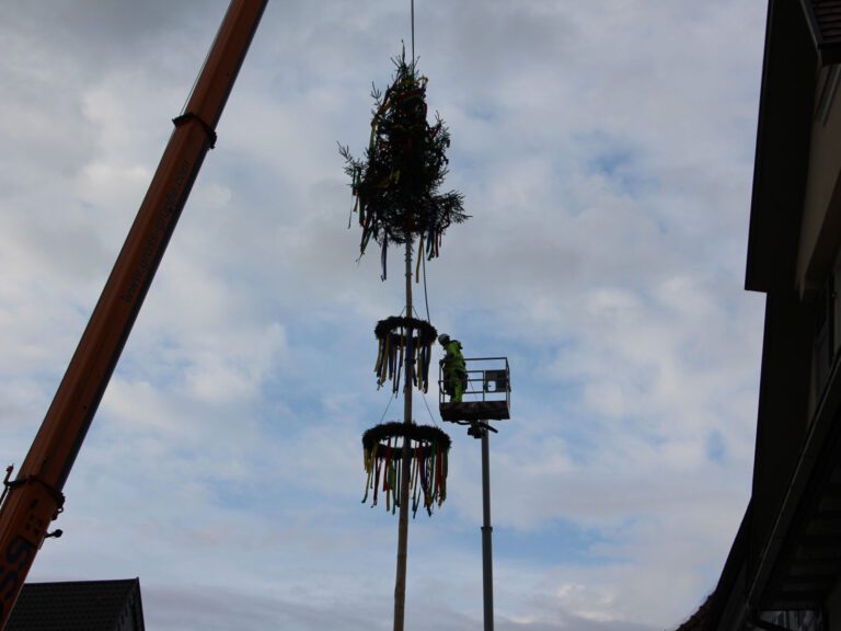 Aufstellung des Maibaums am Kirchheimer Rathaus