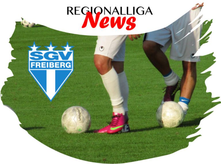 SGV verpflichtet Stürmertalent Karlo Kuranyi vom VfB Stuttgart