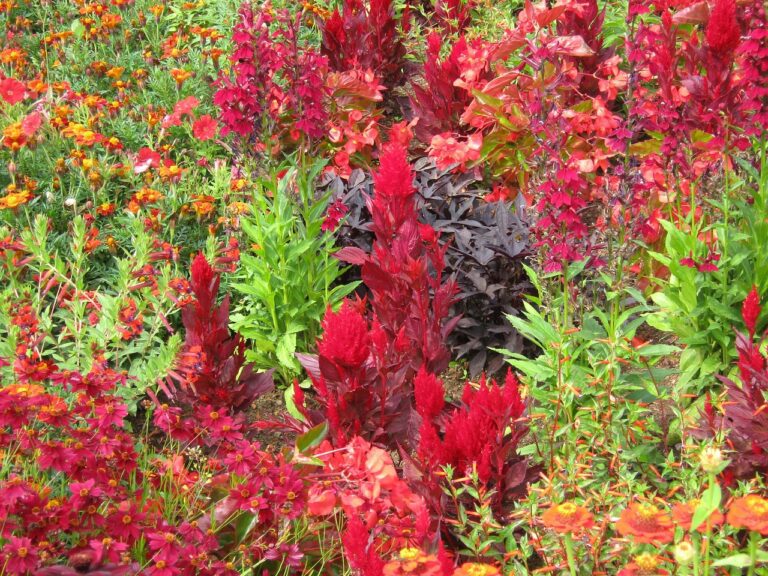 Stuttgarter Gemeinderat beschließt  gemeinsame Machbarkeitsstudie für BUGA 2043