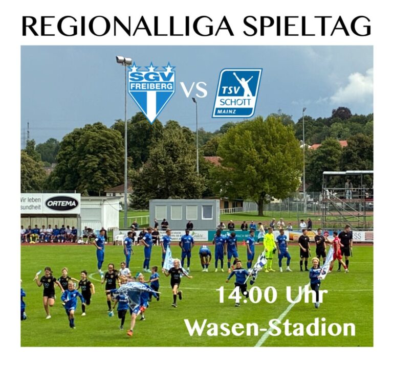 SGV Freiberg vs TSV Mainz